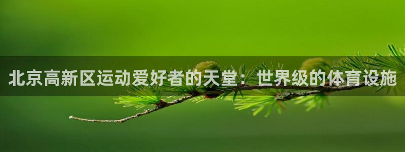 尊龙官网国际