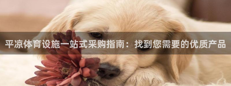 尊龙游戏中心