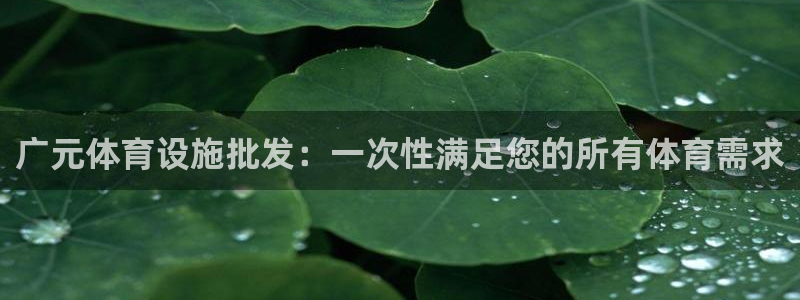 尊龙新版手机app下载