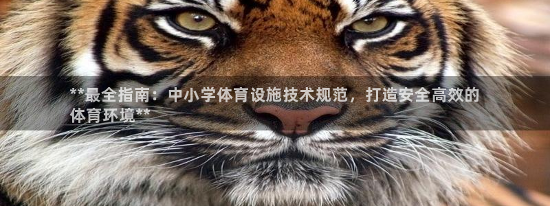 尊龙实业有限公司属于国企吗