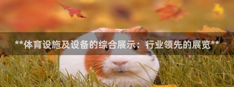 凯时官网手机版首页