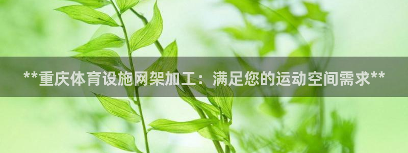 尊龙ag旗舰厅下载