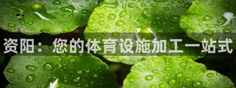 尊龙d88官网登录下载