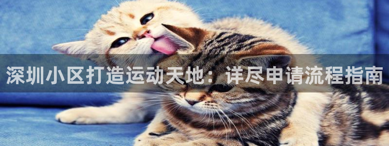 尊龙凯时输钱的原因