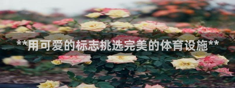 尊龙凯时人生就是搏!平台