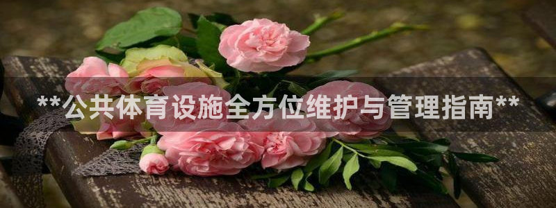 尊龙凯时几百万怎么下