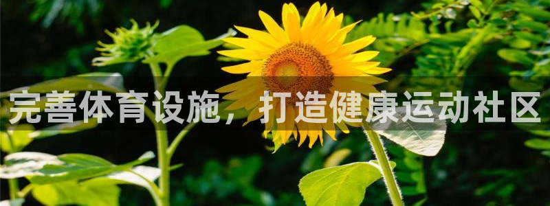 尊龙凯时人生就是搏 品牌专区