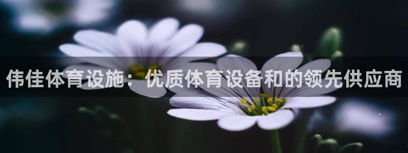 尊龙用现金娱乐一下下载旧