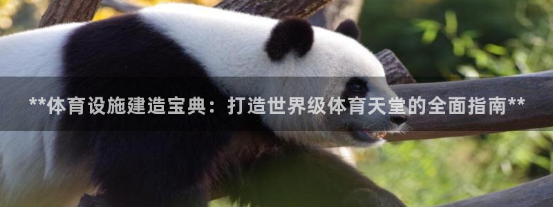 尊龙 中国