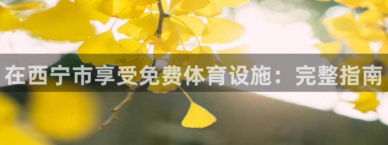 尊龙官网地址