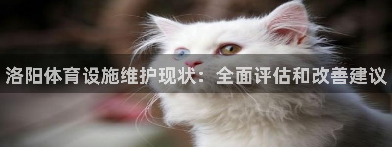 尊龙app认可ag发财网