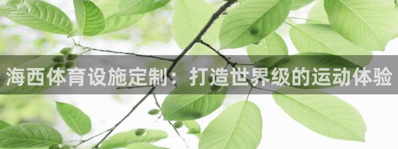 尊龙凯时人生就是博·(中国)