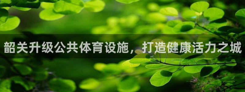 尊龙凯时泰安
