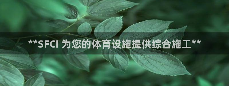 尊龙凯时输了100万