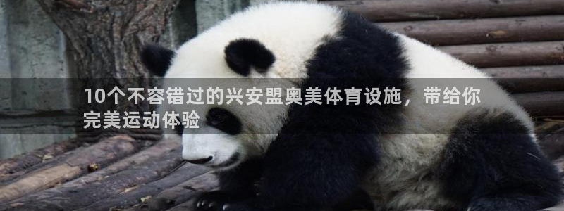 尊龙新版登录网址下载