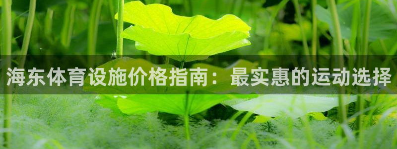 尊龙 中国