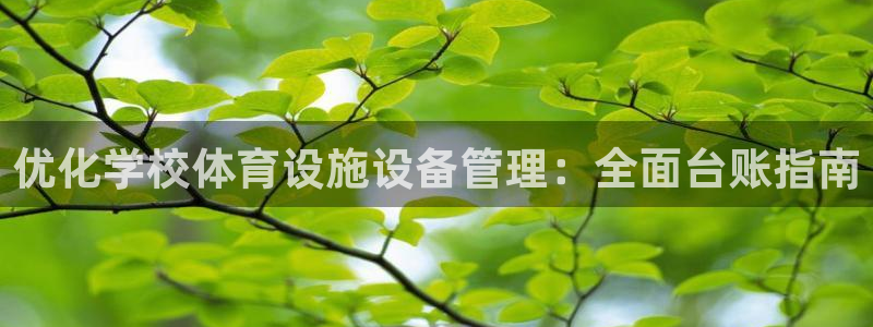 凯时网址多少