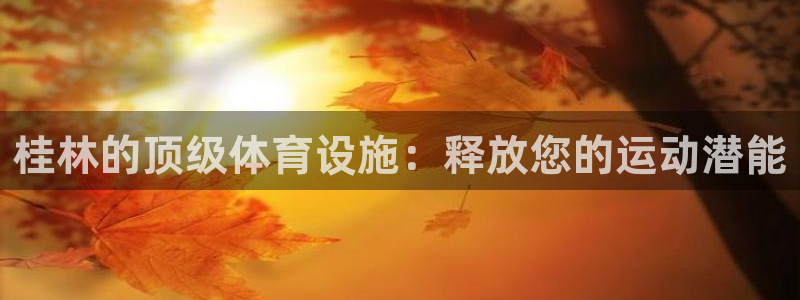 尊龙旗舰店