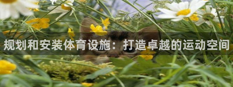 凯时ag旗舰厅登录