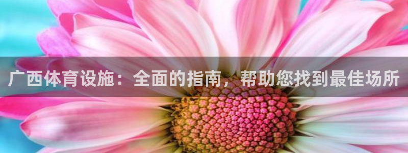 凯时国际网站域名