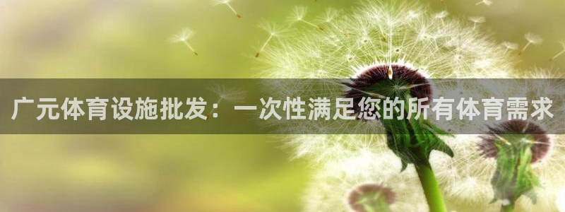 尊龙ag旗舰厅下载