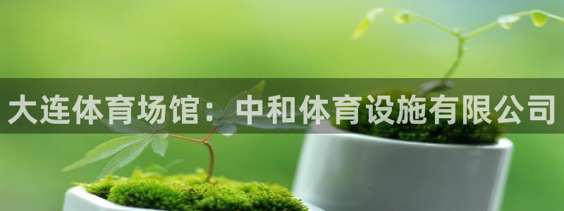 尊龙z6集团