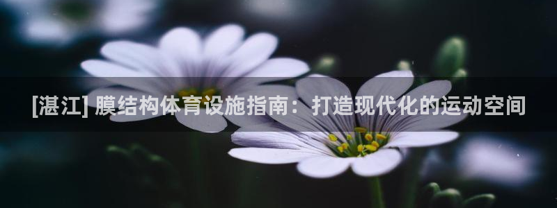 尊龙现在
