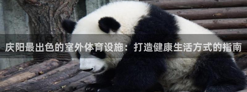 尊龙凯时投诉最狠的方法