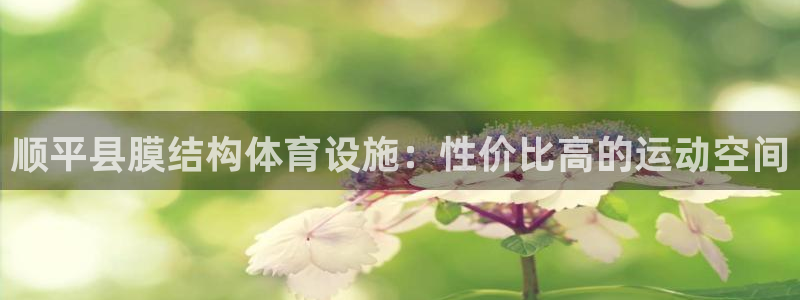 尊龙凯时取钱很慢