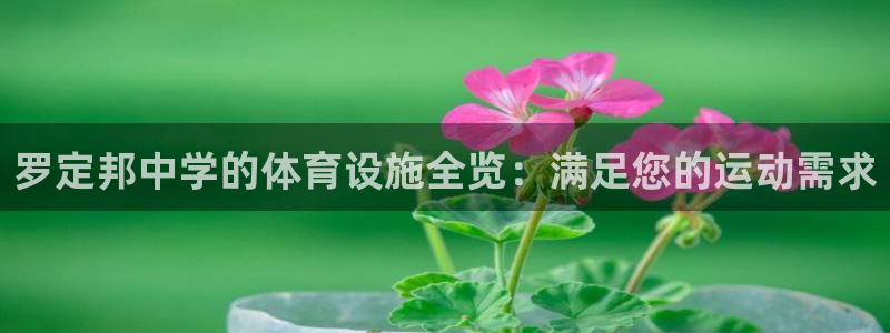尊龙凯时平台不给出款怎么办
