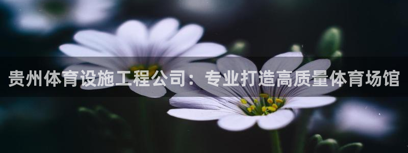 尊龙凯时不朽情缘