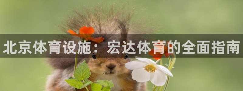 尊龙凯时输钱的原因