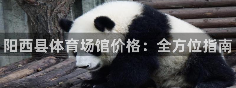 尊龙官网地址