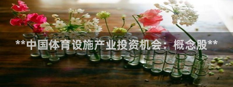 尊龙eight is enough