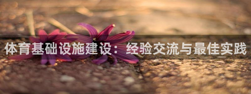尊龙凯时白家乐Abb下载