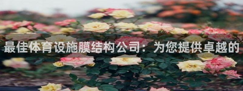 尊龙d88官网赢来就送38