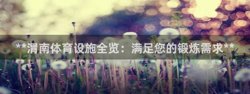 尊龙官方网站
