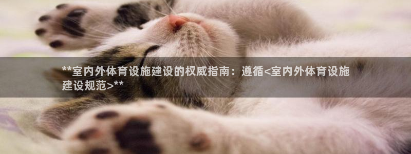 尊龙凯时ag旗舰厅官方网站