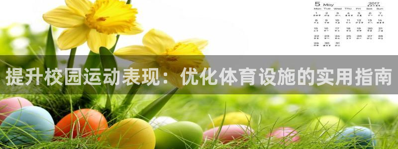 K66凯时国际平台官网