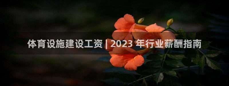 凯时kb88公司简介