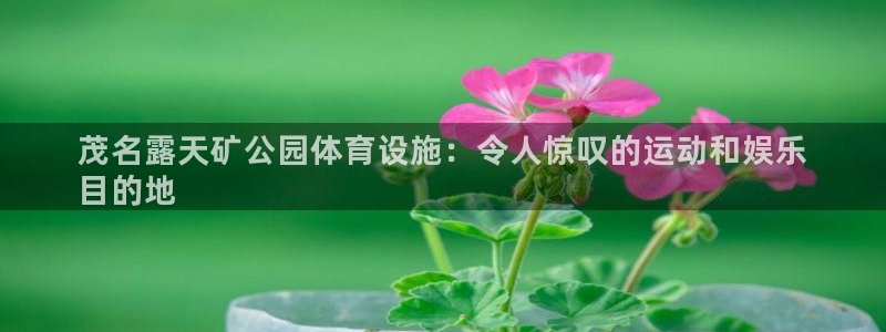 尊龙凯时平台还是万博好