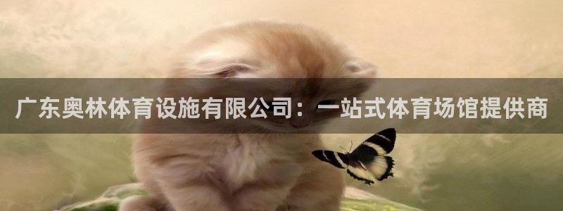尊龙官网手机版