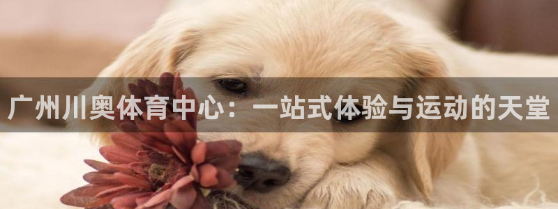 尊龙d88平台版下载