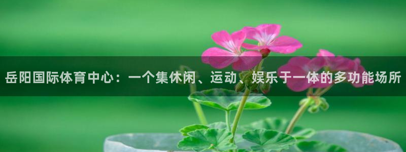 尊龙凯时存款多久到账