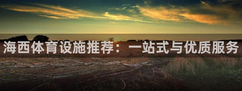 旧版尊龙人生就是博下载