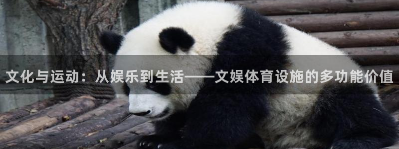 ag尊龙凯时俱乐部