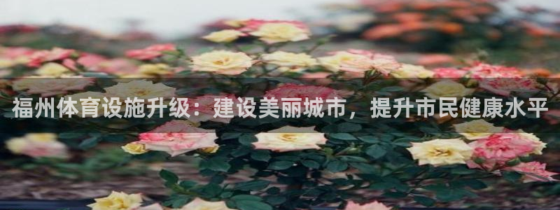 下载尊龙app