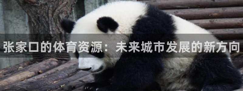 尊龙人生就是博i可靠吗