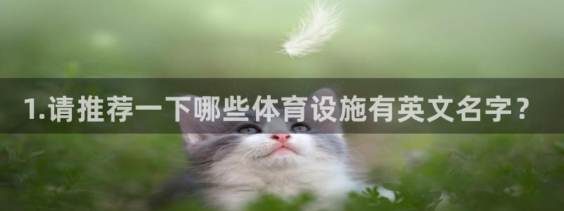 尊龙凯时存款多久到账