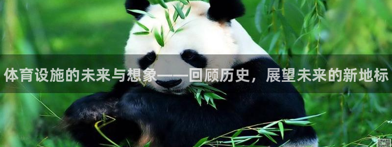 尊龙凯时输钱的原因